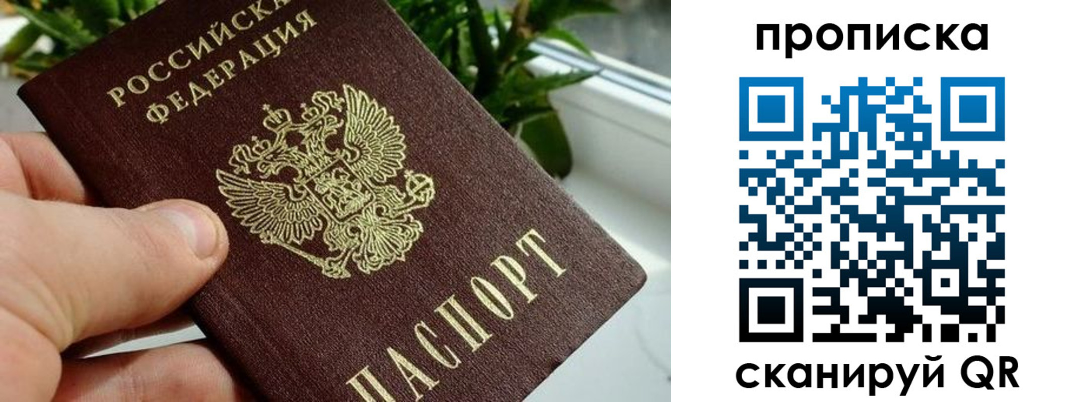 временная прописка в Соликамске